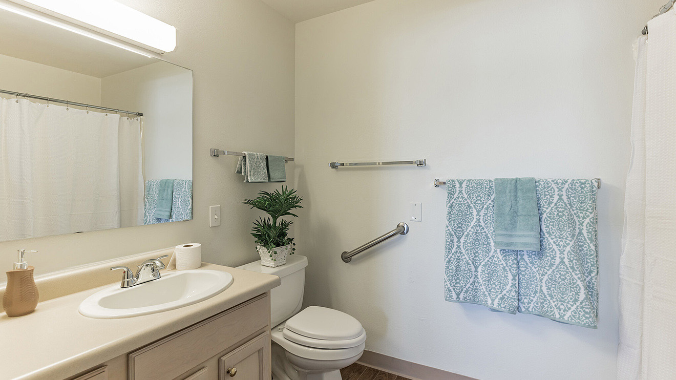 Holiday Vista del Rio independent living apartment with private bath, sink and toilet with grab bar.